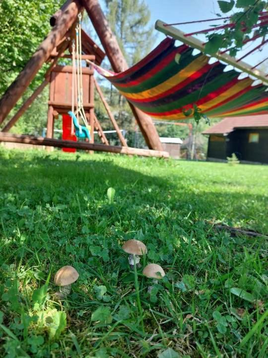 Dom Gościnny Efka Kwatera prywatna *